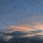 探索k体育下载的优势:提升你的体育观看体验与互动乐趣 1r6avyb2m2