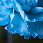 探索ak体育官网:全面了解其功能与用户体验 644uzu91