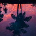 探索K1娱乐:如何在这个平台上找到你的乐趣与激情 8z41mdu