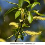 探索28圈娱乐:如何在多元化娱乐中找到你的乐趣 m32yfntz